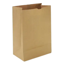 Kraft Paper Bag # 3 (500/Case)