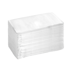 Dinner Napkin 2-PLY (3000/Case)