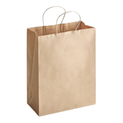 Brown Paper Bag w/ Handles 10×5.5×13.25 (250/Case)