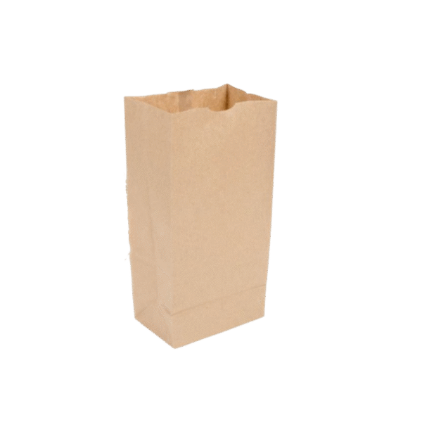 Brown Paper Bag # 6 (500/case)
